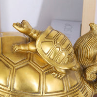 Thumbnail for Gros plan sur la petite tortue portée sur le dos de la Tortue Dragon, symbole de descendance et de transmission.