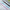 Baguettes chinoises 3 couleurs